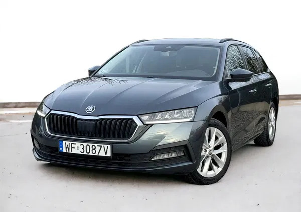 skoda Skoda Octavia cena 69900 przebieg: 165000, rok produkcji 2020 z Jędrzejów